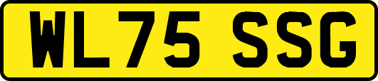 WL75SSG