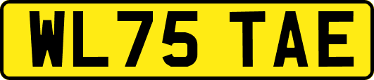 WL75TAE