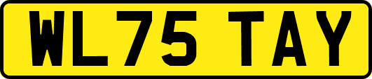 WL75TAY