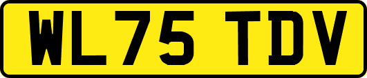 WL75TDV