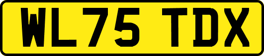 WL75TDX