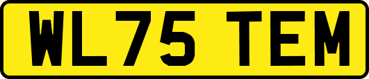 WL75TEM