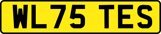 WL75TES