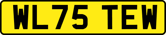 WL75TEW