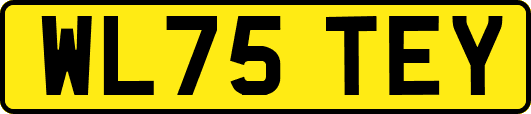 WL75TEY