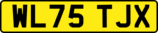 WL75TJX