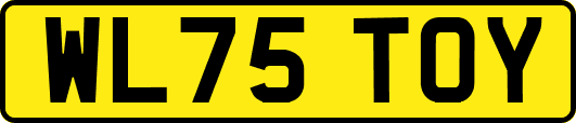 WL75TOY