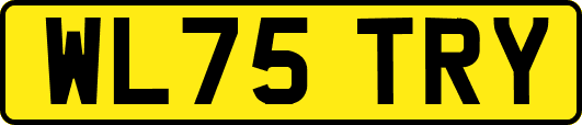 WL75TRY