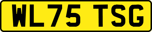 WL75TSG