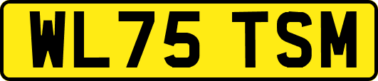 WL75TSM