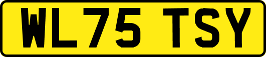 WL75TSY