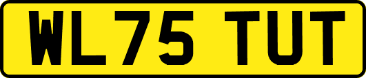 WL75TUT