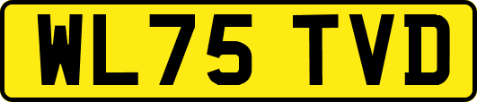 WL75TVD
