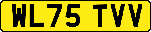WL75TVV