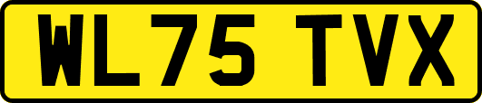 WL75TVX