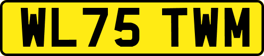 WL75TWM