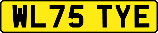 WL75TYE