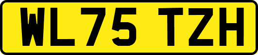 WL75TZH
