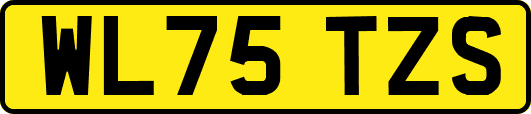WL75TZS