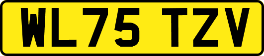 WL75TZV