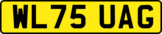 WL75UAG