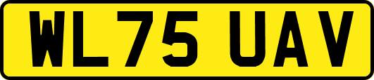 WL75UAV
