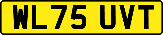 WL75UVT