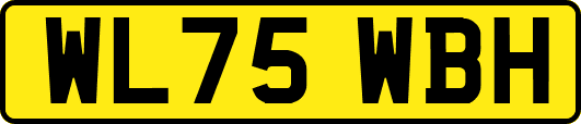 WL75WBH