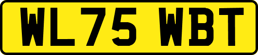 WL75WBT