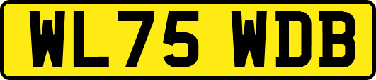 WL75WDB