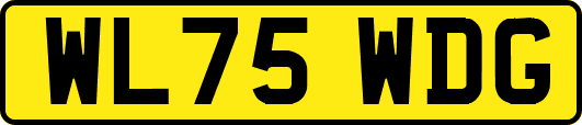 WL75WDG