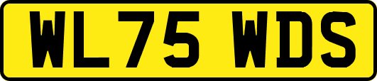 WL75WDS