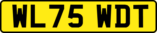 WL75WDT