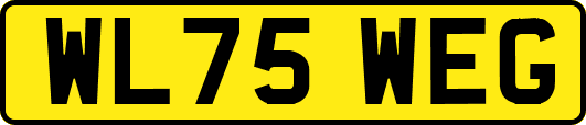 WL75WEG