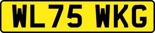 WL75WKG