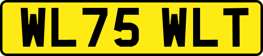 WL75WLT