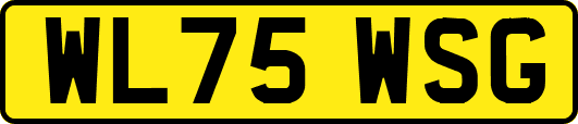 WL75WSG