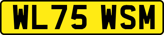 WL75WSM