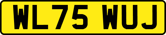 WL75WUJ