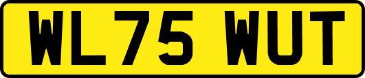 WL75WUT