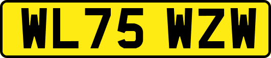 WL75WZW