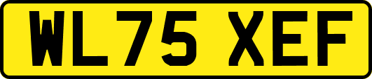WL75XEF