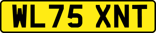 WL75XNT