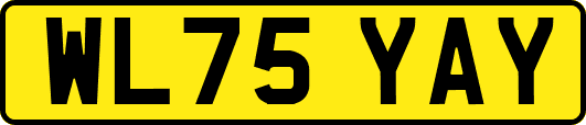 WL75YAY