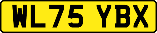 WL75YBX