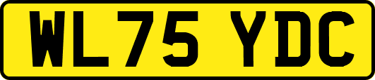 WL75YDC