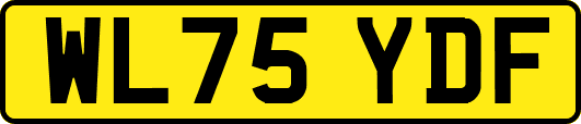 WL75YDF