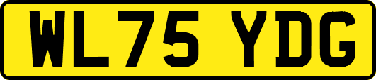 WL75YDG