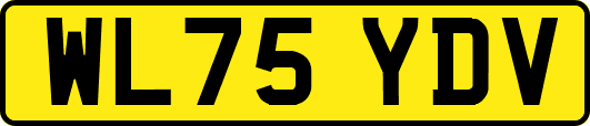 WL75YDV