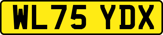 WL75YDX